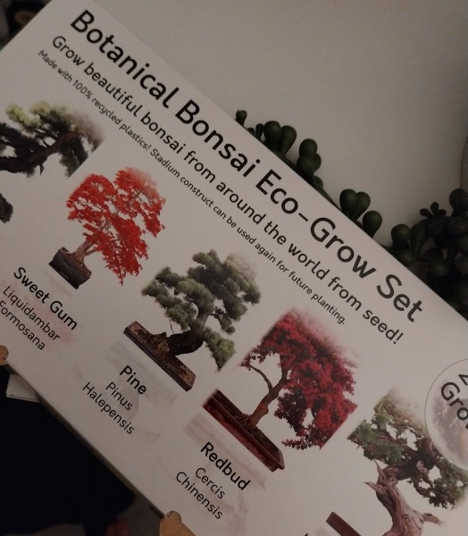 £10 secret santa for random colleague (we don't draw names) - could be male or female,  needs to be vegan, nut free, soya free and not alcoholic