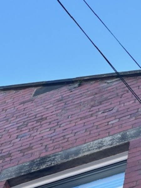 How can I get the right advice and solution re damp and mould?