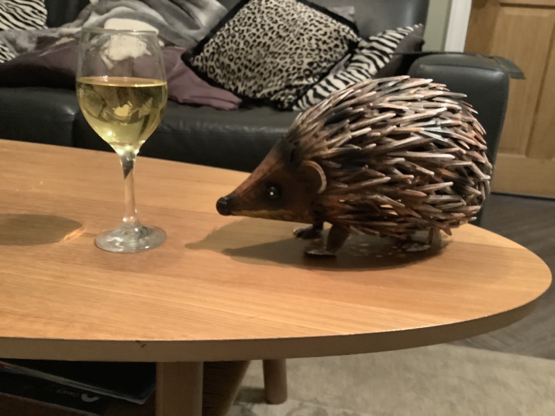 The Bluestocking Boxing Day sale: 1 gerbil for the price of 2