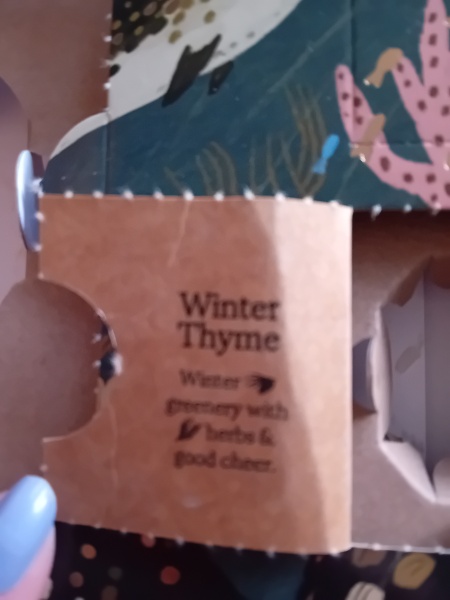 Non-Beauty Advent Calendar Opening Thread