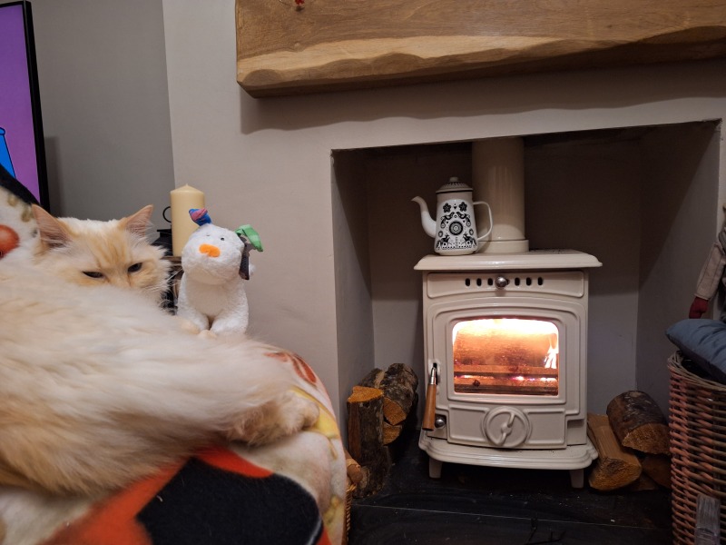 The Nigel Slater Christmas Chronicles Readalong 2025 - Part 3