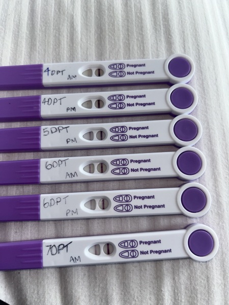 Anyone Doing FET/IVF Cycles in November 2025?