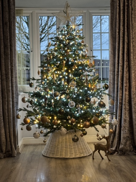 Have we had a Christmas tree thread this year?