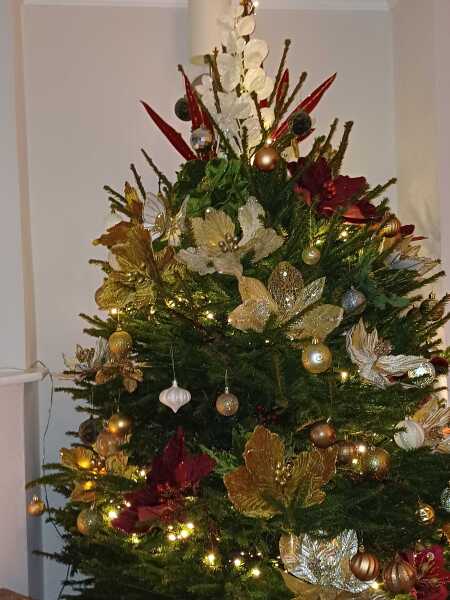 Have we had a Christmas tree thread this year?