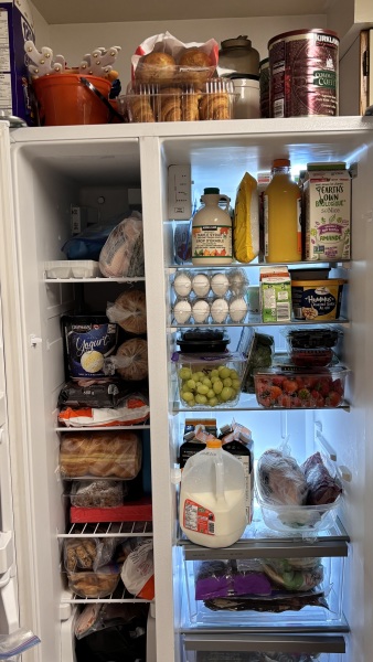 Just for fun- what's in your fridge? Post a pic!