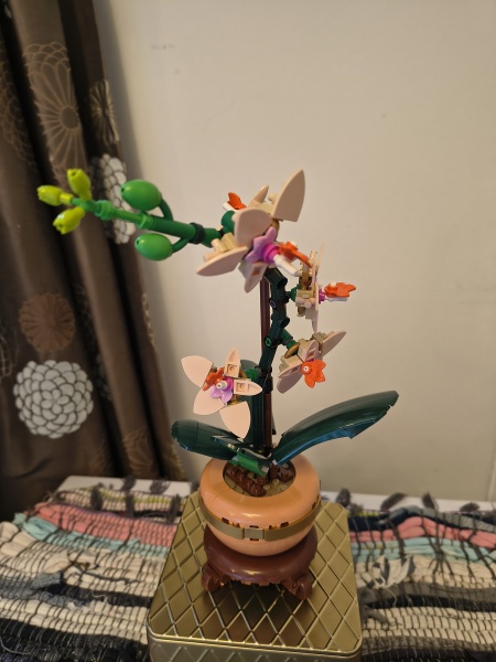 Thread 40 Starmer: Prettig Kerstfeest, Nollaig Shona, Hyvää Joulua, Nadolig Llawen ,圣诞快乐, God Jul, Feliz Navidad, Bouan Noué, Nollaig Chridheil.