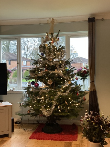 The Bluestocking: Next stop, Christmas!