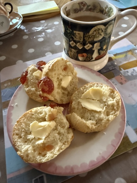 The Nigel Slater Christmas Chronicles readalong 2025 - Part 2