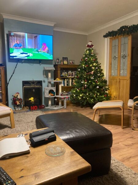 Or do fake trees always  look crap?