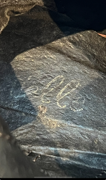 Can anyone work out what this say?