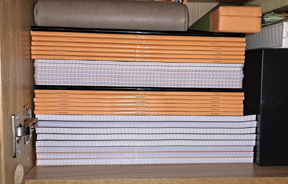 The Bluestocking Boxing Day sale: 1 gerbil for the price of 2