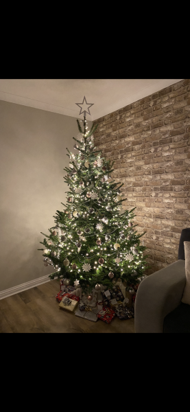 Have we had a Christmas tree thread this year?