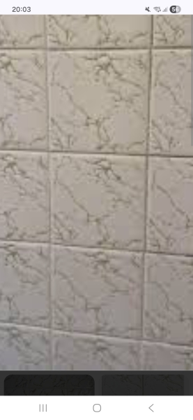 Name something you had in your childhood bathroom that isn't there today?2