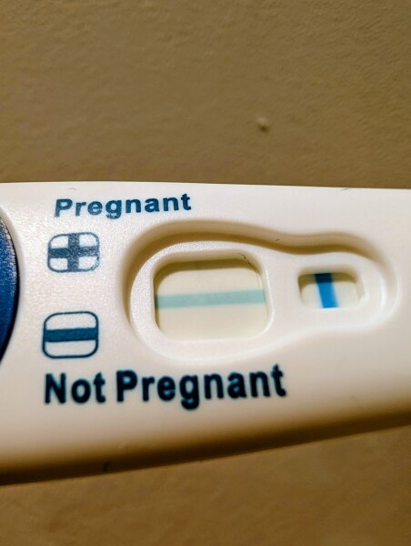 What do you think? Evap lines?