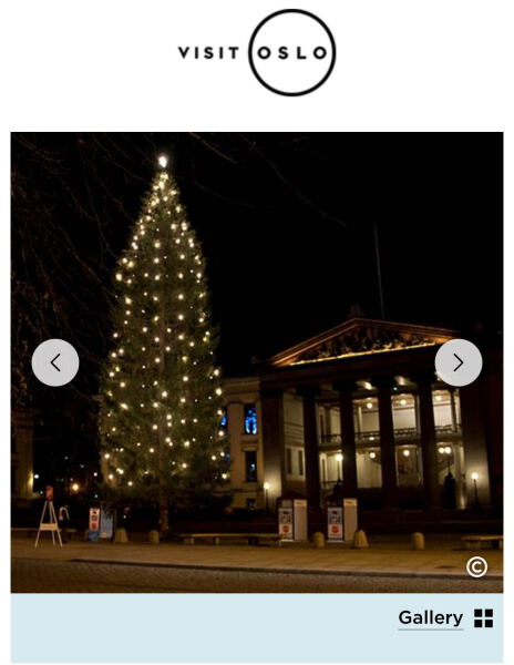 Trafalgar Square Christmas tree embarrassment
