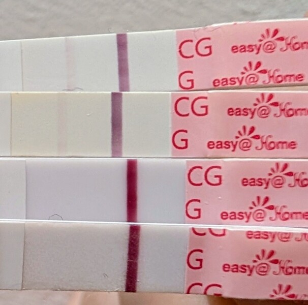 What do you think? Evap lines?