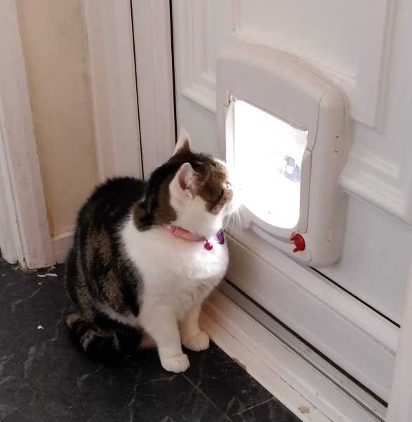 Putting a cat flap in an awkward UPVC door. How?