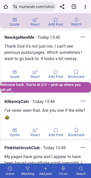 Also, whats this pointless pink bar for?
