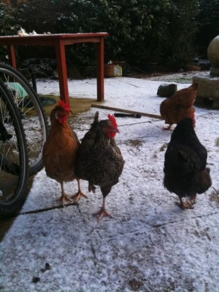 The Nigel Slater Christmas Chronicles Readalong 2025 - Part 3