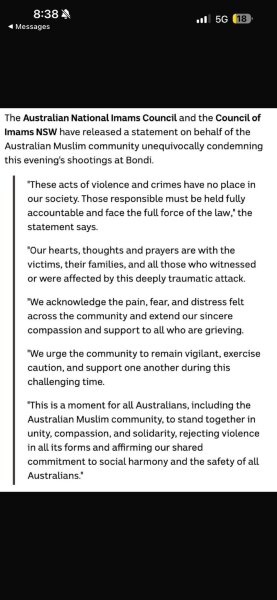 Bondi beach mass shooting