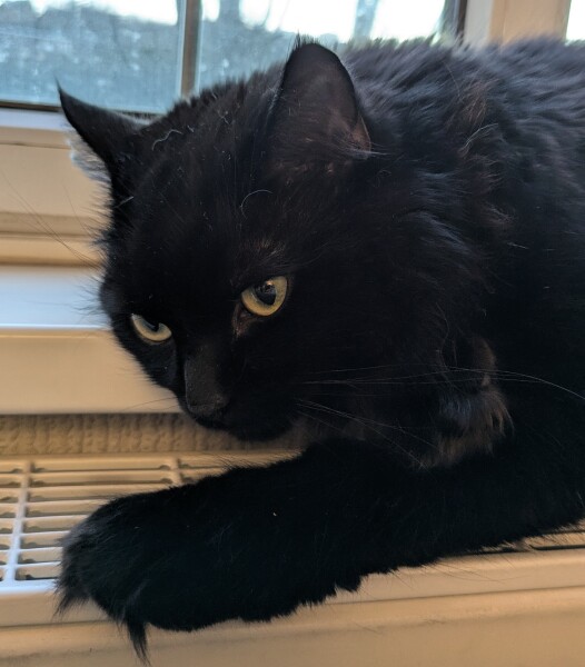 The Nigel Slater Christmas Chronicles Readalong 2025 - Part 3