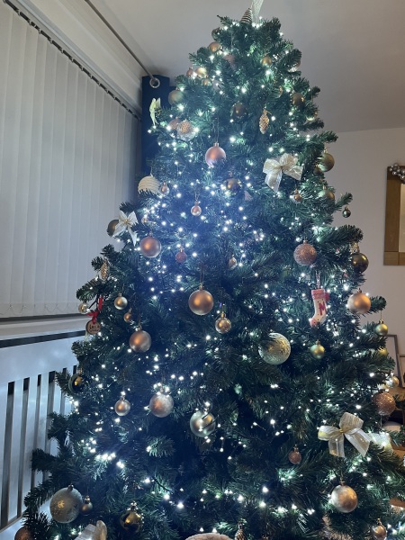 Or do fake trees always  look crap?