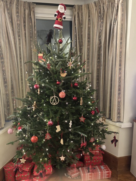 Have we had a Christmas tree thread this year?
