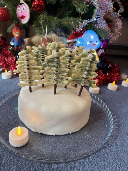 Christmas cakes! Come and show me yours.