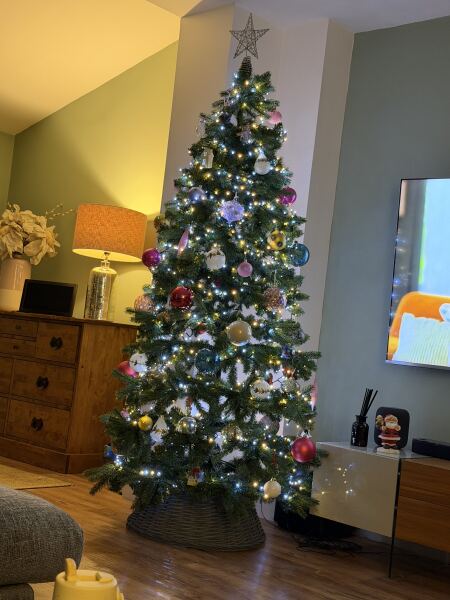 Have we had a Christmas tree thread this year?