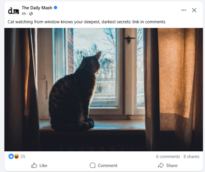 Thread 39 Starmer: chwech/saith - dechreuodd y plant ei