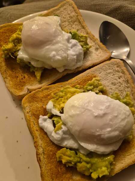 Explain avocado to me