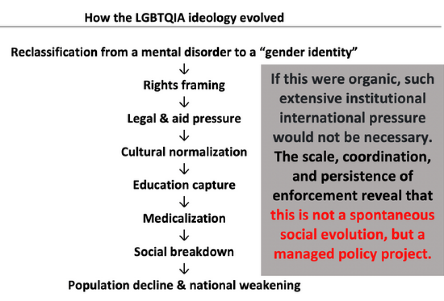 How LGBTQIA was turned into a global Geopolitical tool
