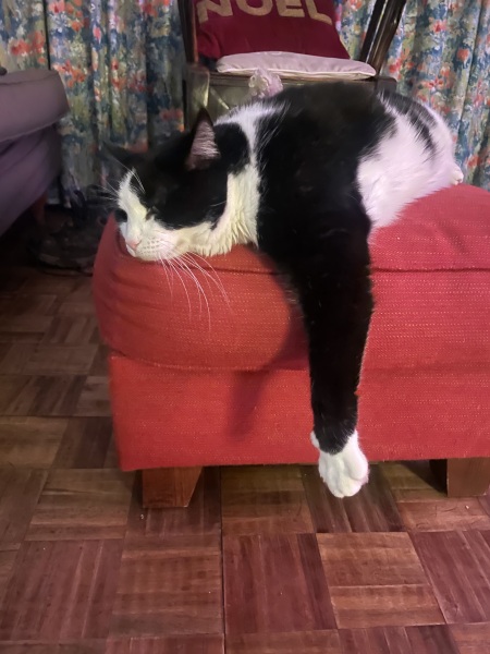 The Nigel Slater Christmas Chronicles Readalong 2025 - Part 3