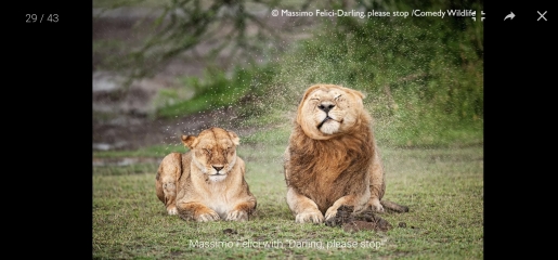 The Bluestocking: Next stop, Christmas!