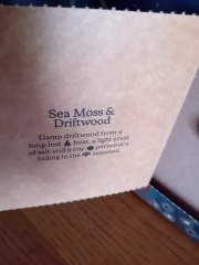 Non-Beauty Advent Calendar Opening Thread