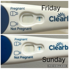 Early Pregnancy HCG test lines