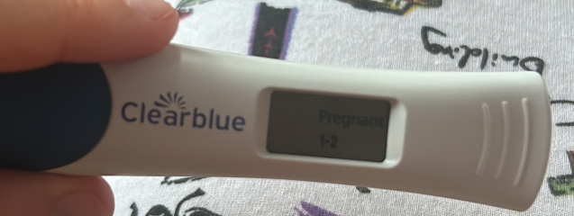 Early Pregnancy HCG test lines