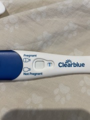 Pregnant ? Confused