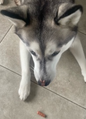 General “Waifs and Strays” Beauty Advent Calendar opening thread.