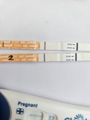 The Hopeful Hearts Circle 1  - December 2025🎄💖