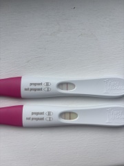 Poor line progression 16dpo