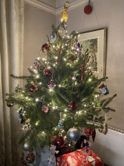 The Nigel Slater Christmas Chronicles Readalong 2025 - Part 3