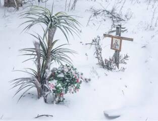 Ukraine Invasion: Part 59