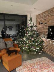 The Nigel Slater Christmas Chronicles readalong 2025 - Part 2