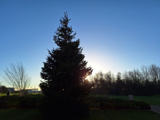 The Nigel Slater Christmas Chronicles Readalong 2025 - Part 3