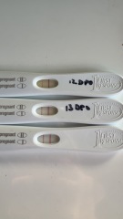 14dpo- quite dark