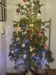 The Nigel Slater Christmas Chronicles readalong 2025 - Part 2