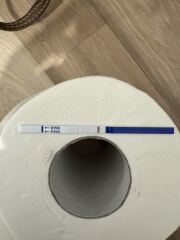 TWW feels like forever