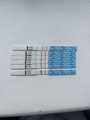 Poor line progression 16dpo