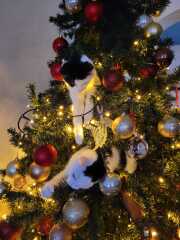 Is there a way to deter my cat from climbing and lying in my Christmas tree?!